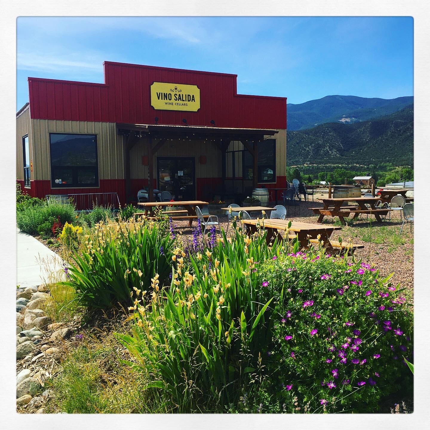 Contact — Vino Salida Wine Cellars