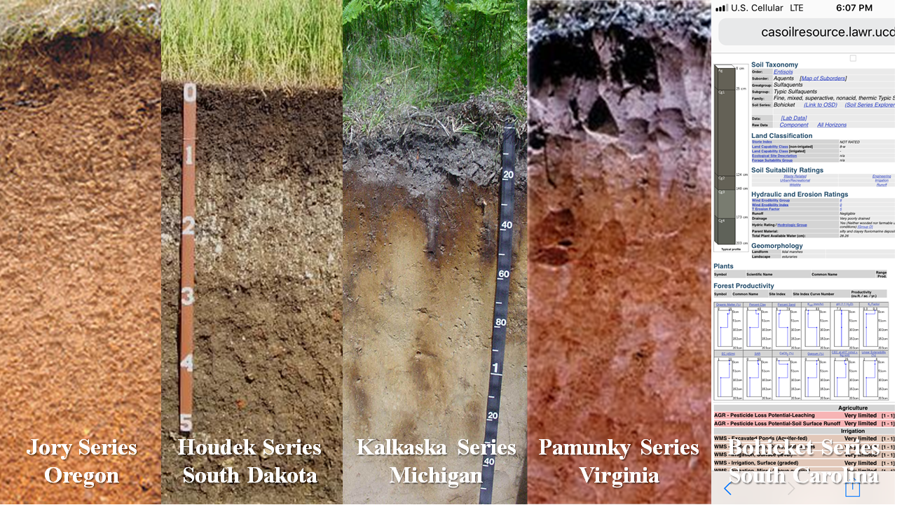 State Soils.png