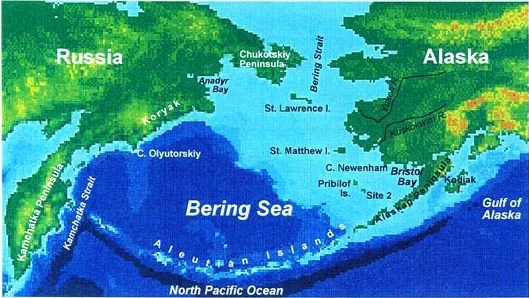 Figure 1 - Bering Sea Ecosystem