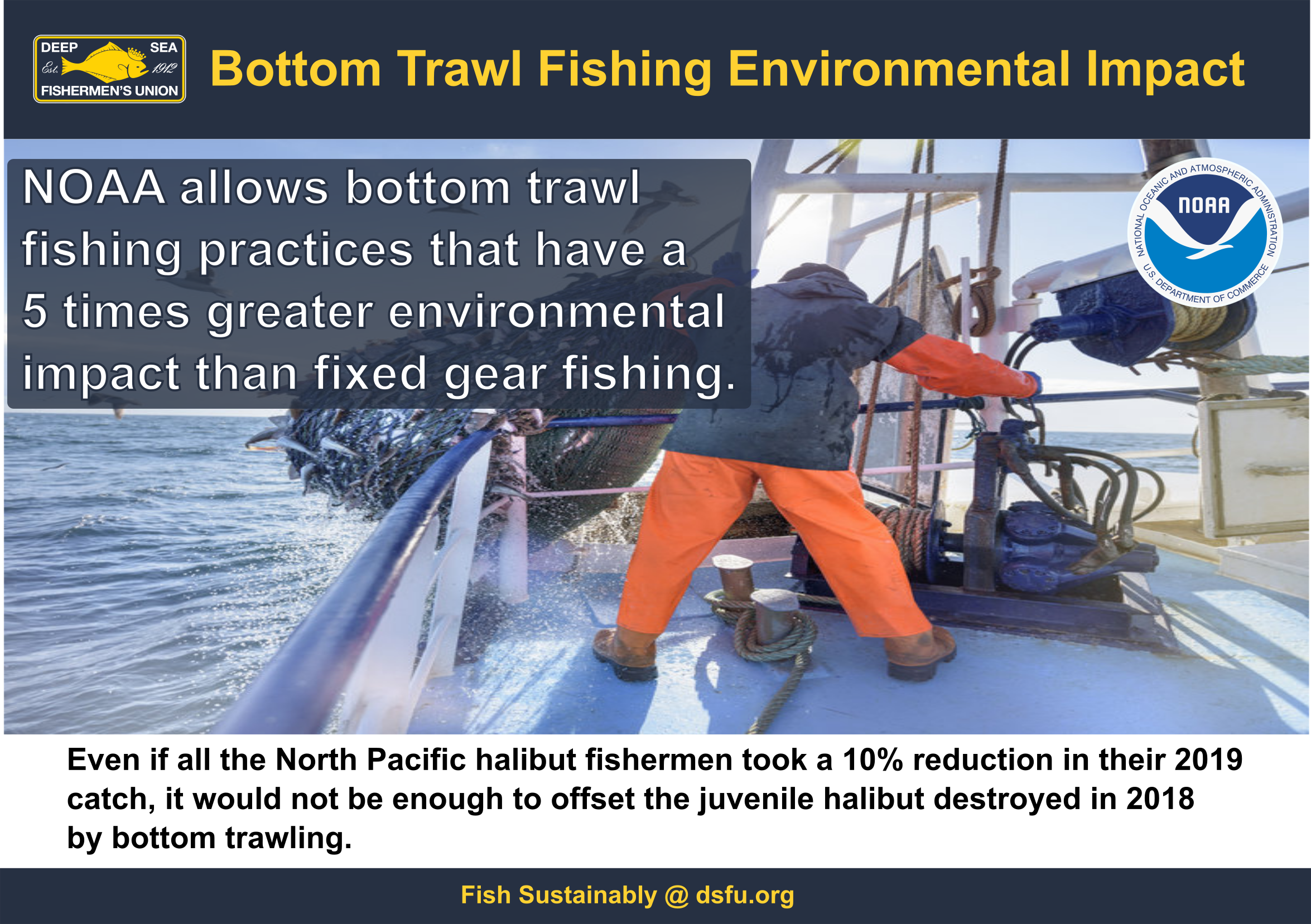 trawl environmental impact 1.0.png
