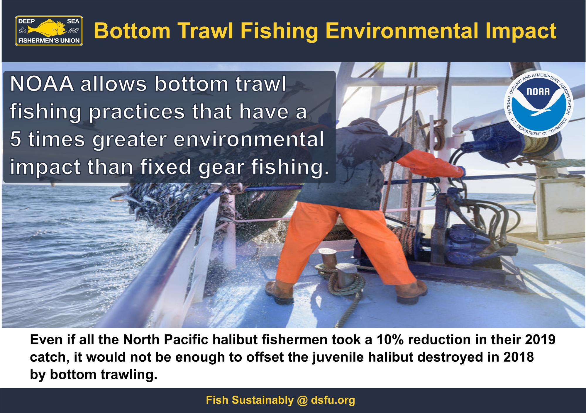 trawl environmental impact 2.0.png