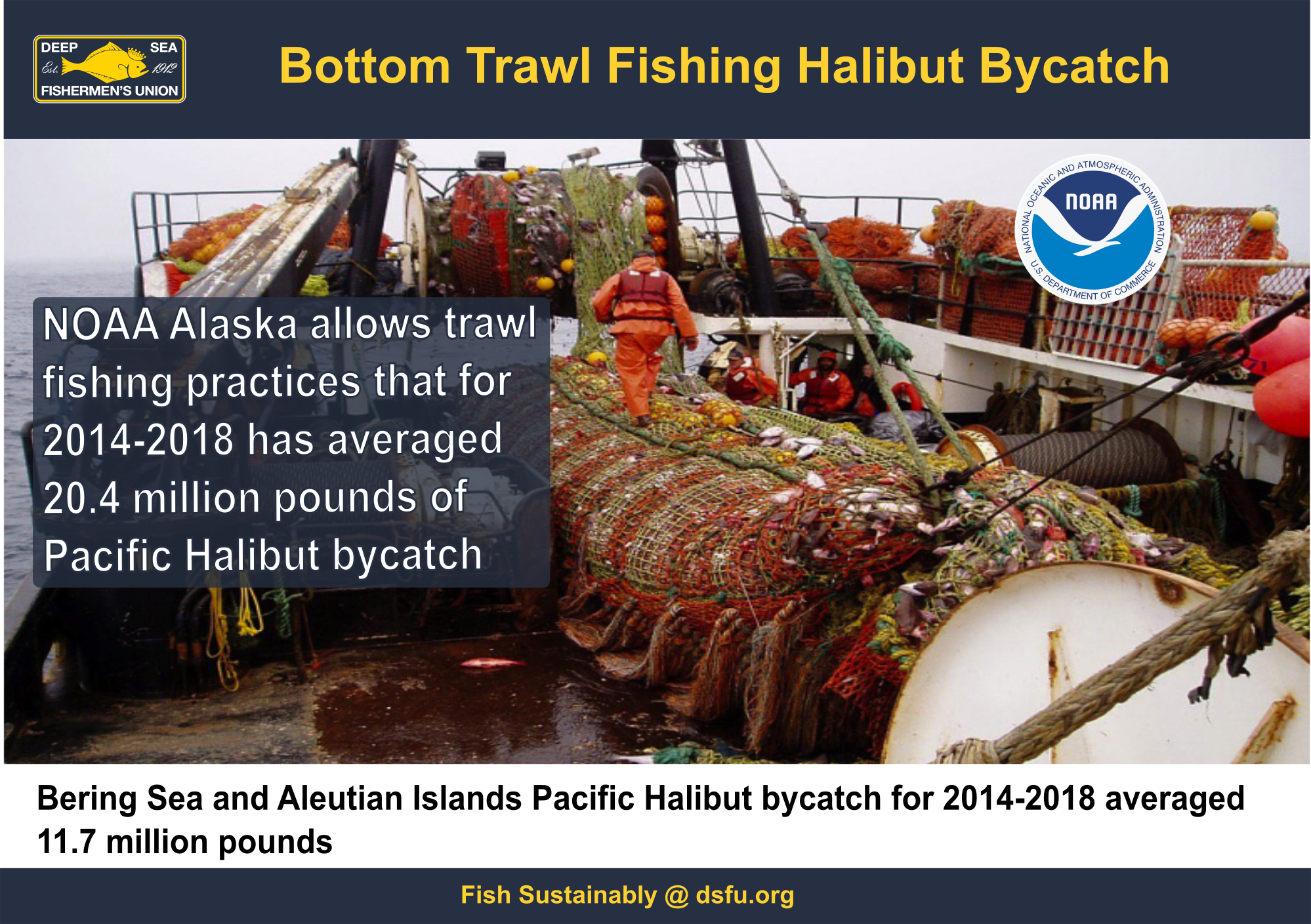 IG Trawl 2014-2018 trawl bycatch 1.png