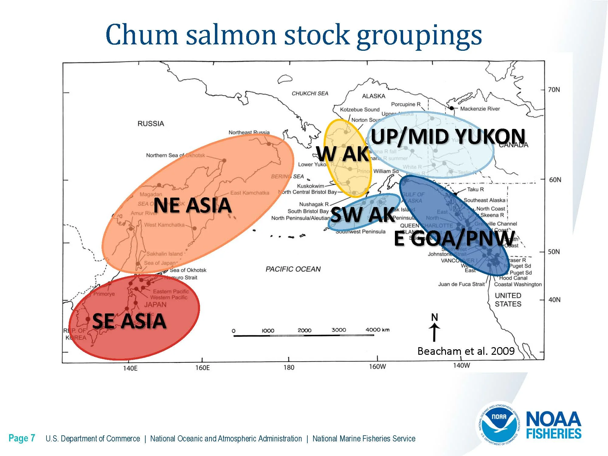 DownloadFile GOA Chinook Salmon Stock Composition Report.pdf_Page_14_Page_07.jpg