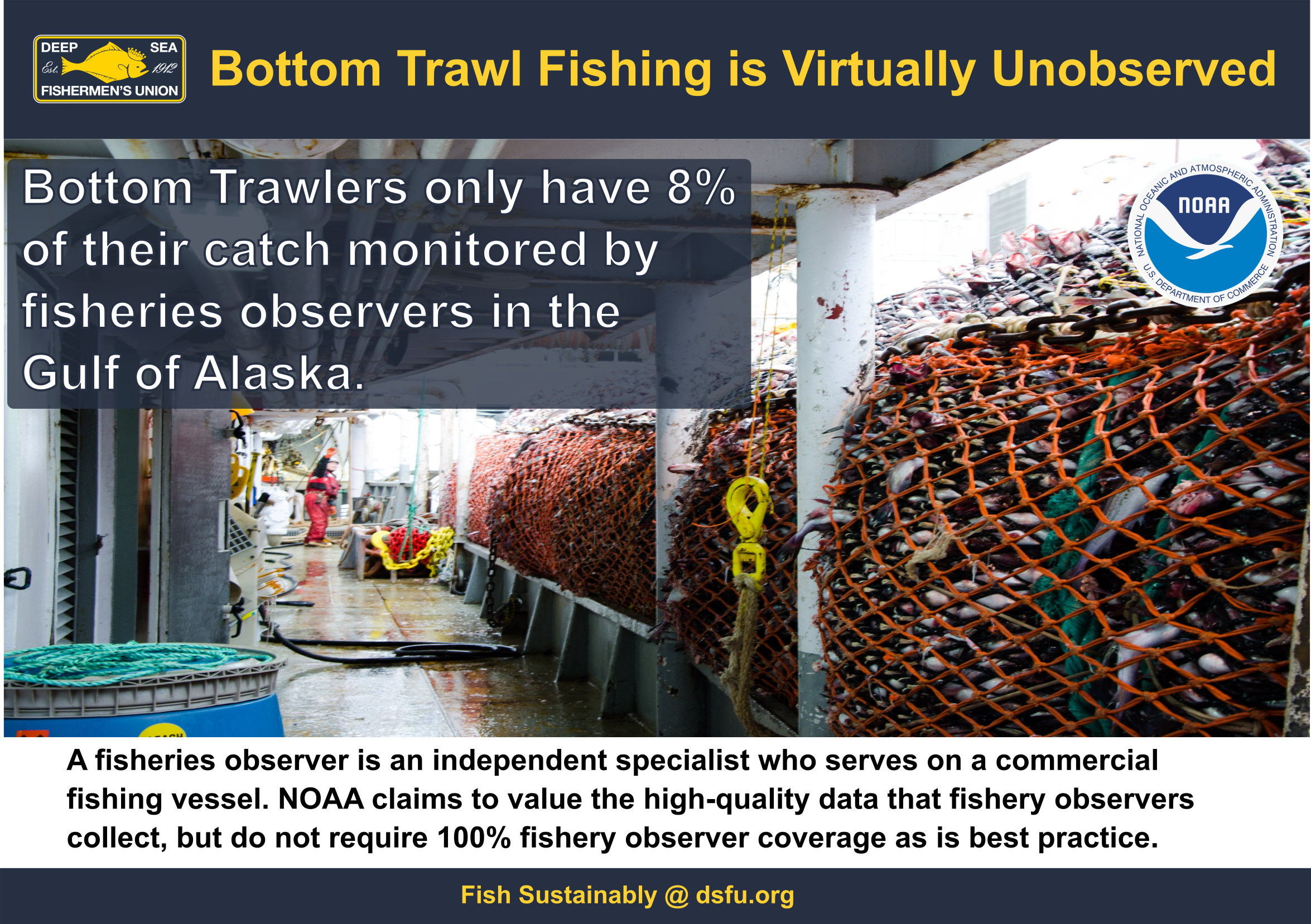IG 2 Trawl Observer Coverage 3.0.svg.png