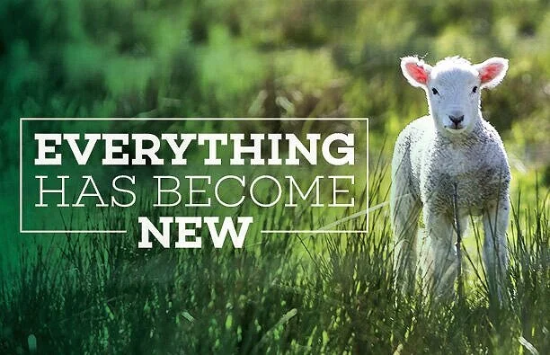Lamb-Grass_Artwork_EverythingNew.jpg