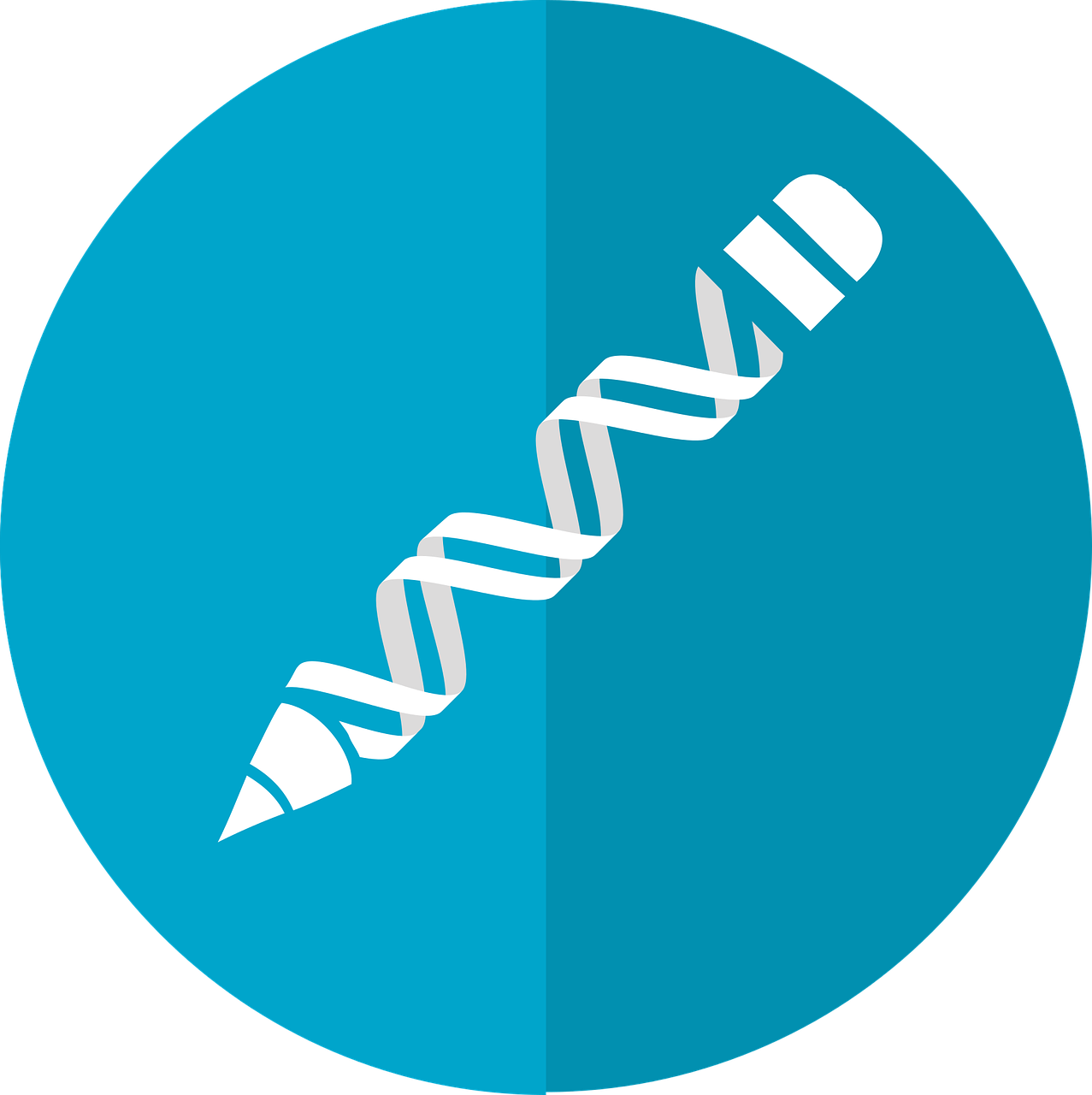 CRISPR dna.png