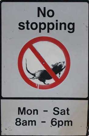 Ratrace.jpeg