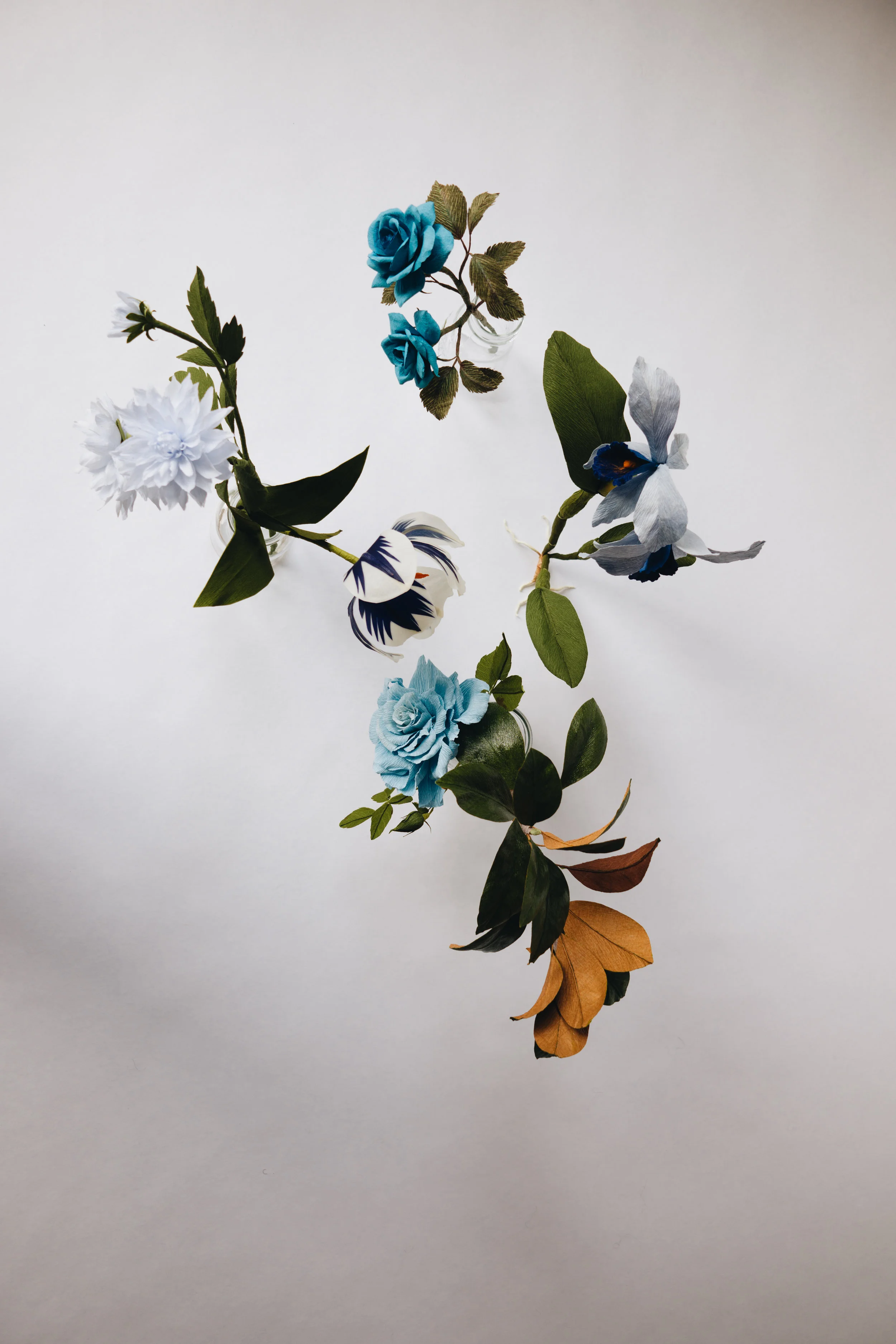 BotanicalImpossibilitiesYL-1000379.jpg
