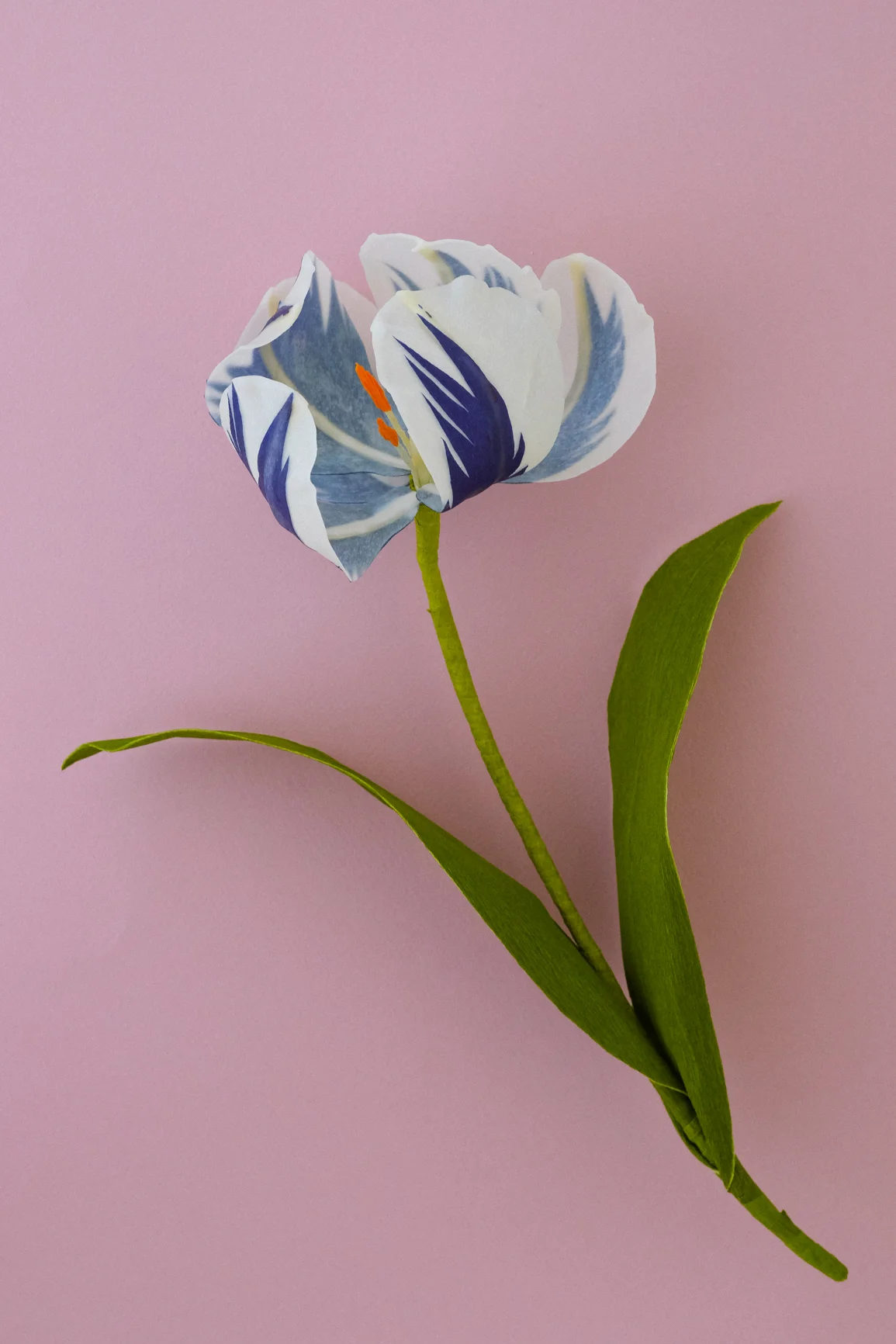PinkBG-1.jpg