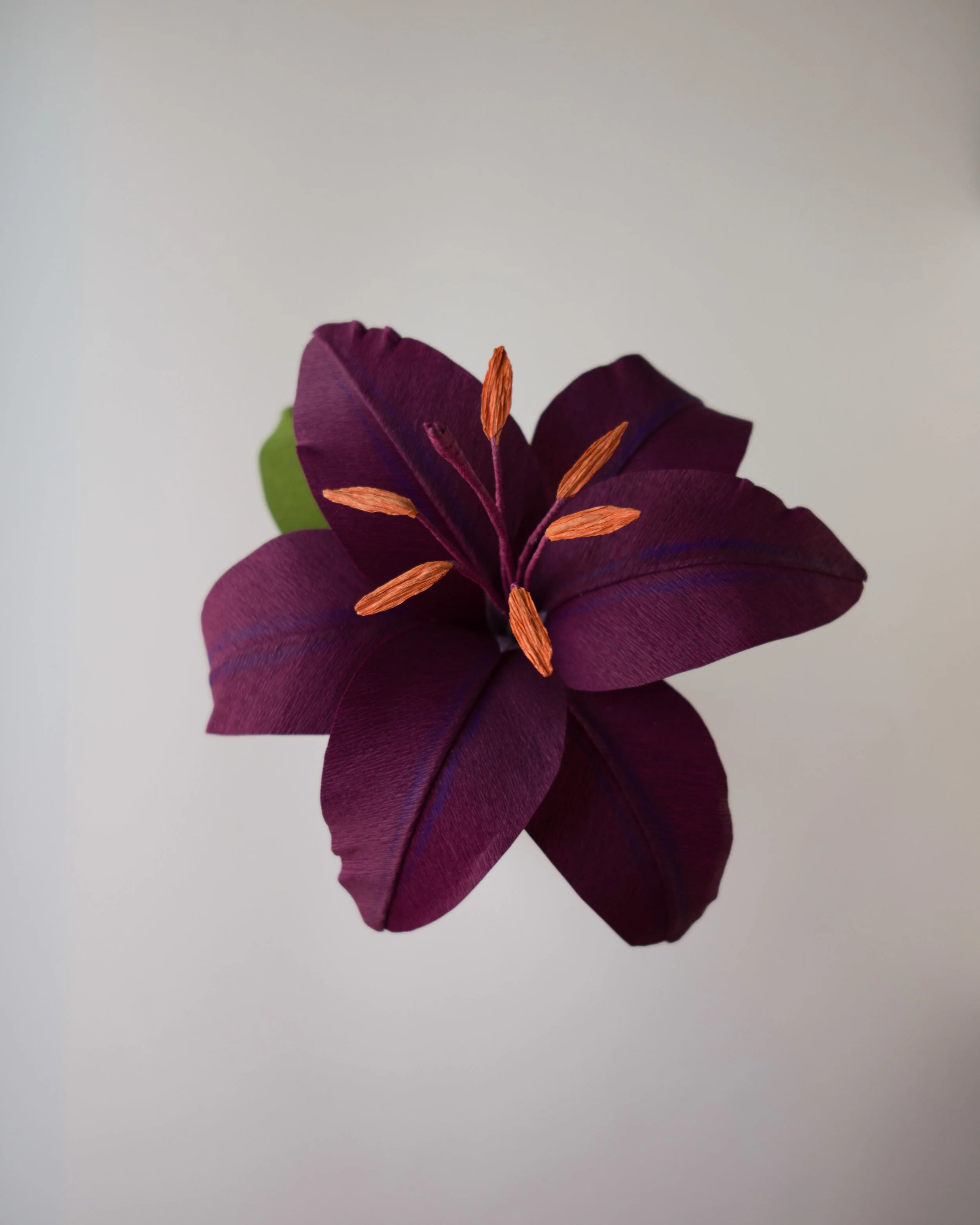 DarkLily-1010093.jpg
