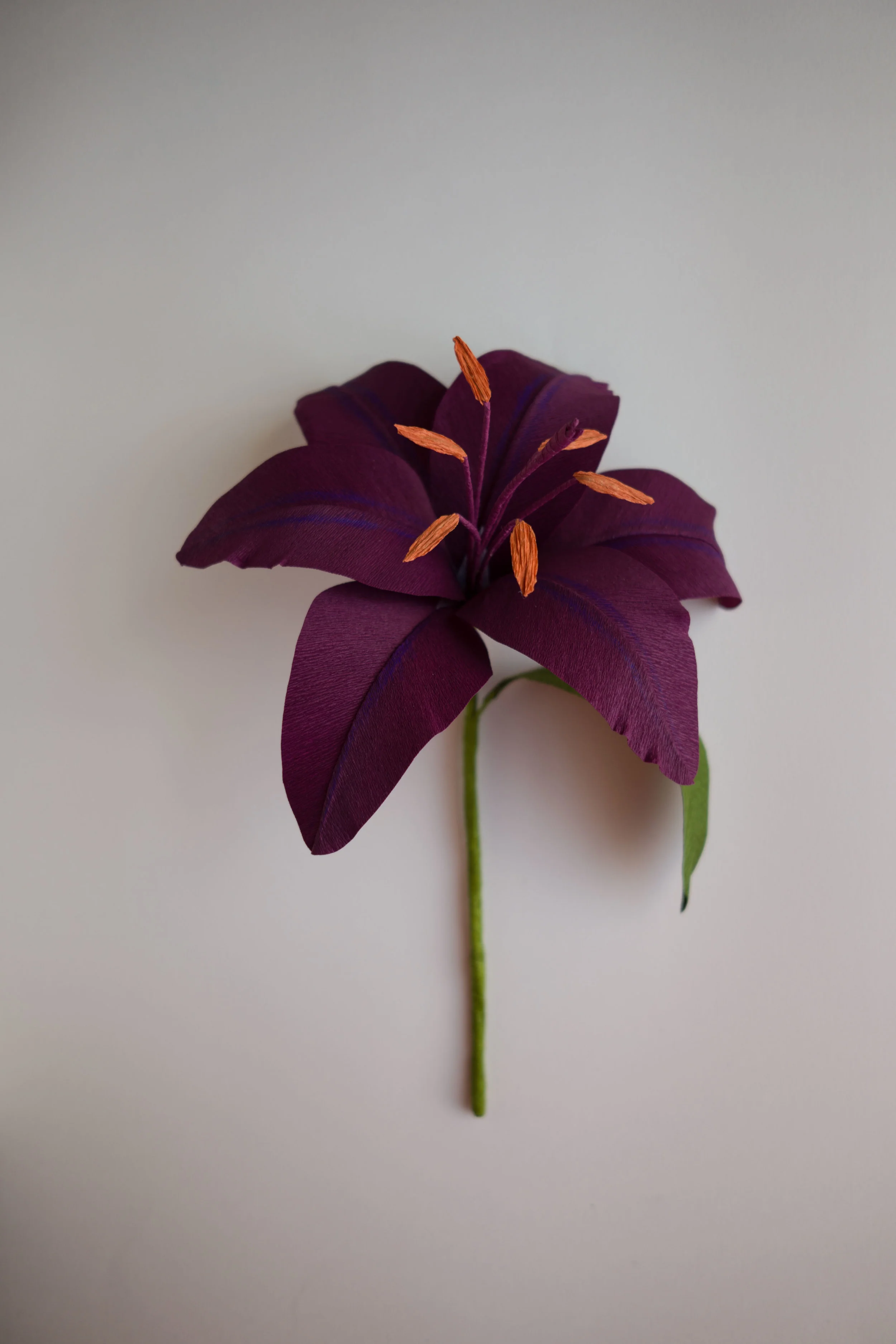 DarkLily-1010095.jpg