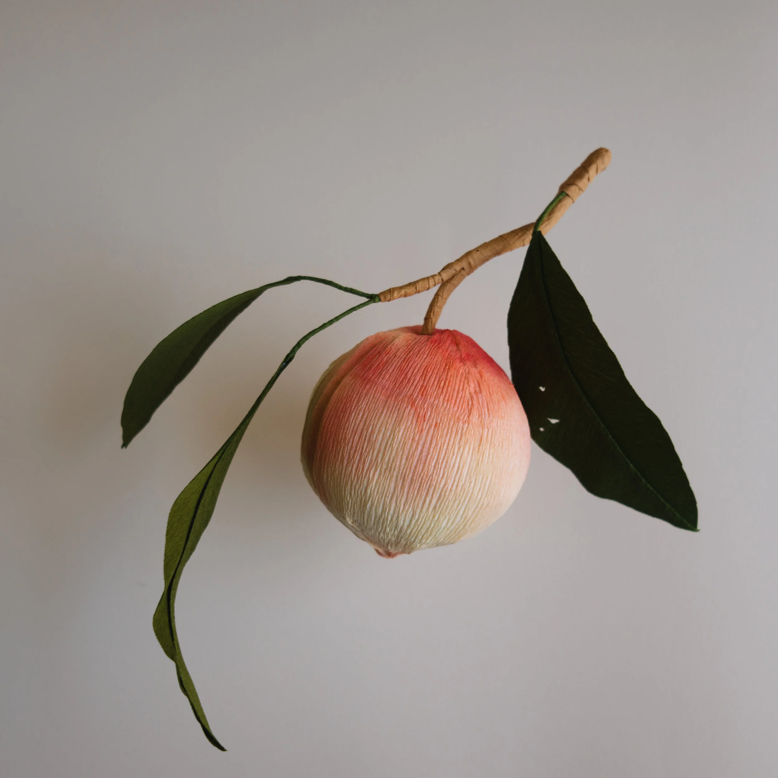 Longevity Peach
