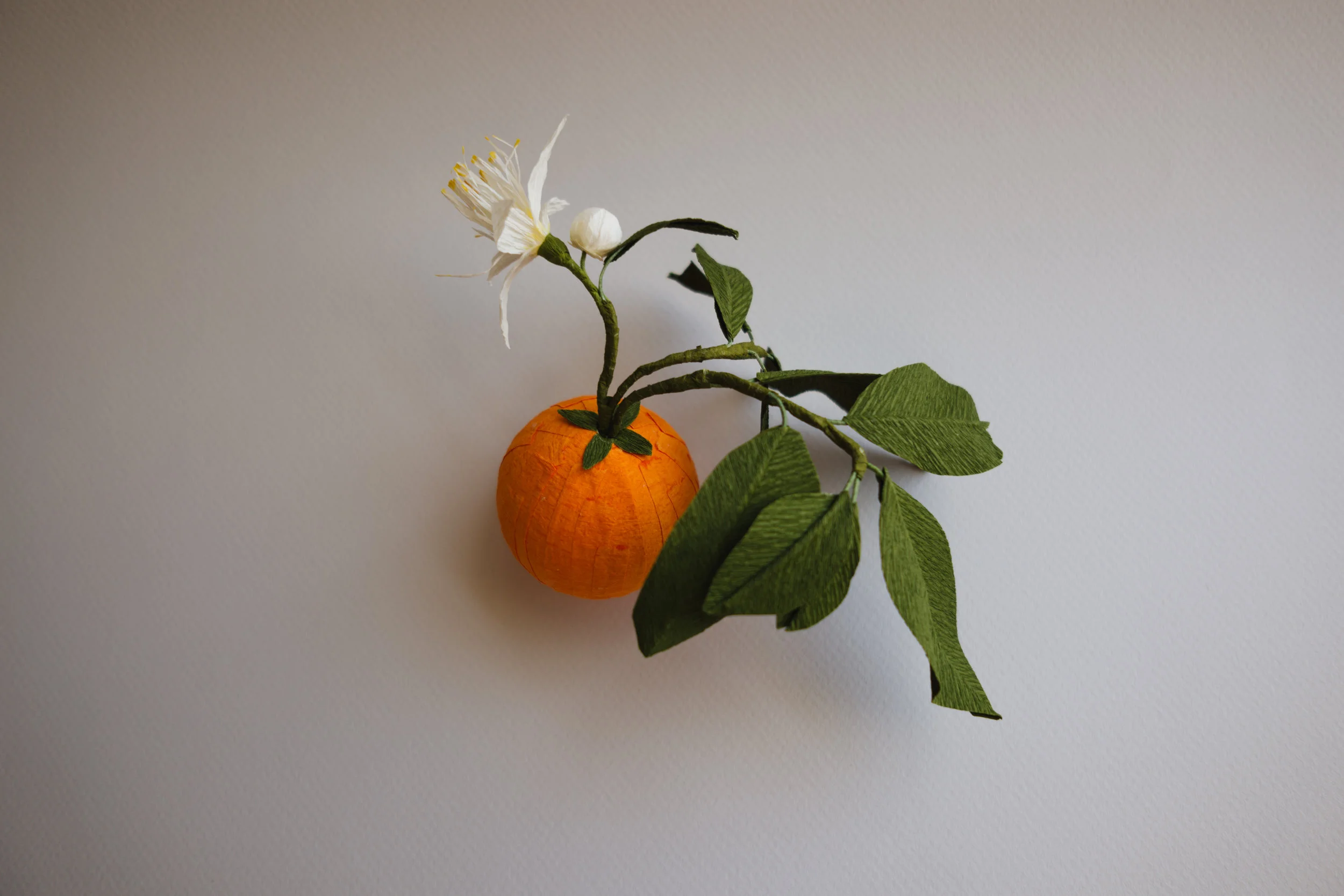 Orange with Blossom-1010261.jpg