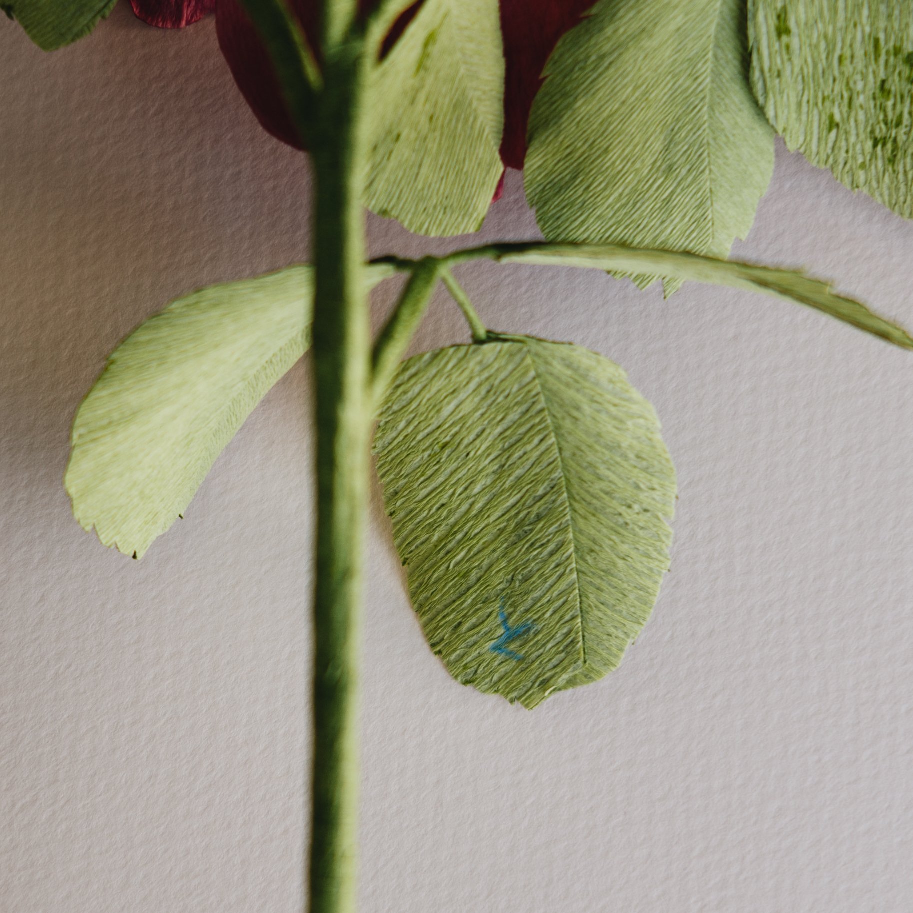Vintage Rose-1020986.jpg