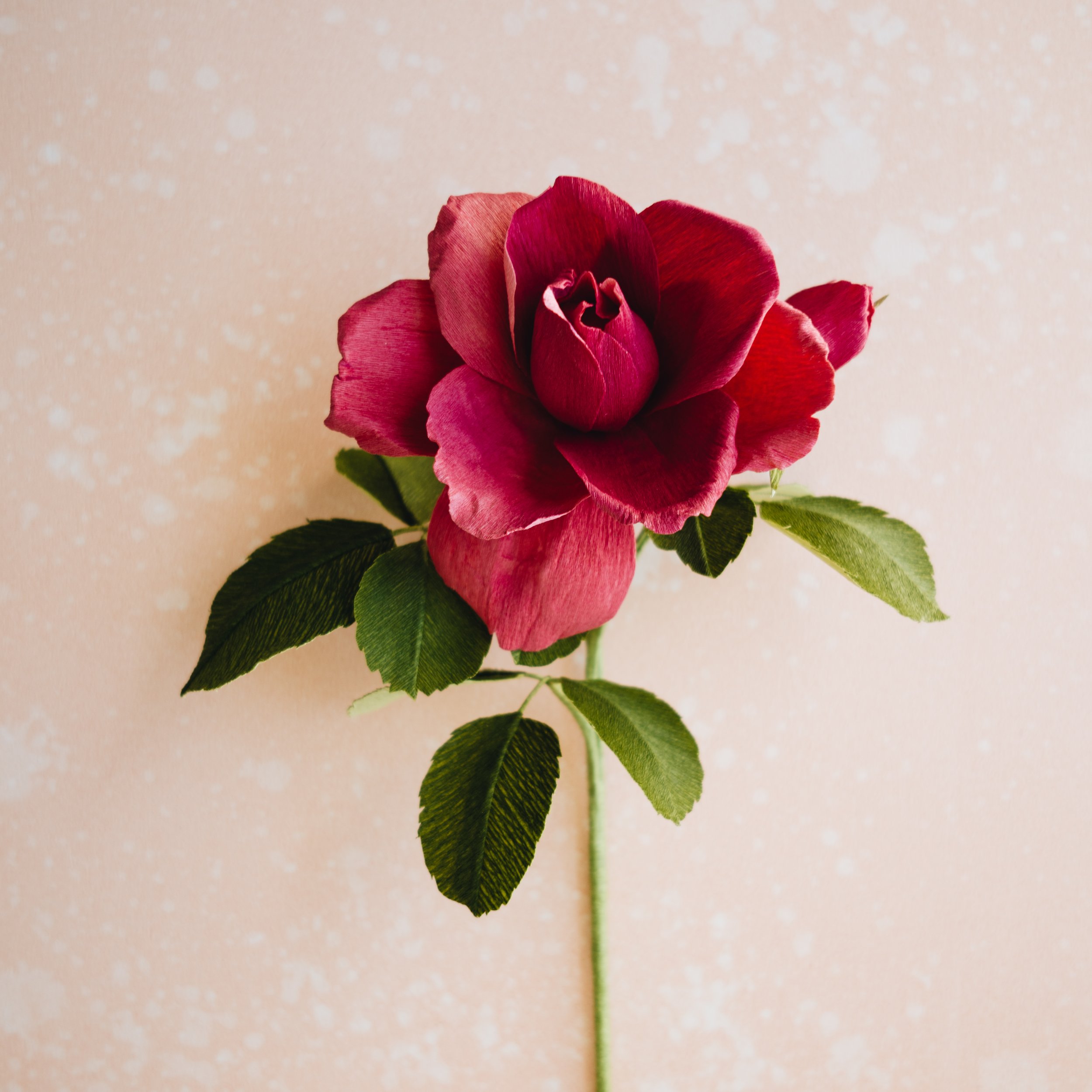 Vintage Rose-1020980.jpg