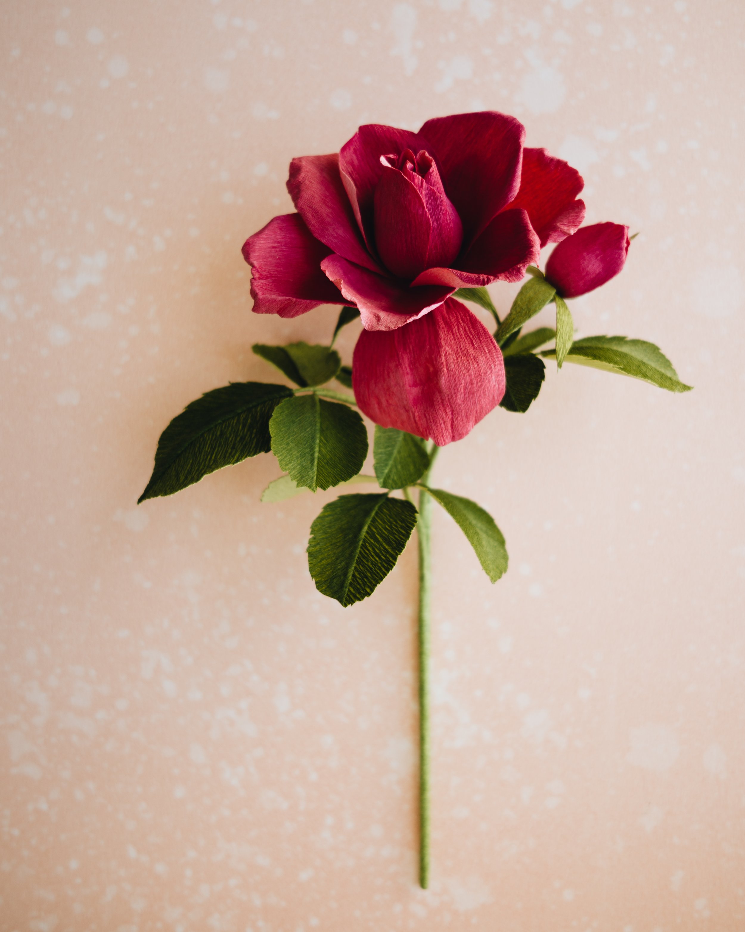 Vintage Rose-1020979.jpg