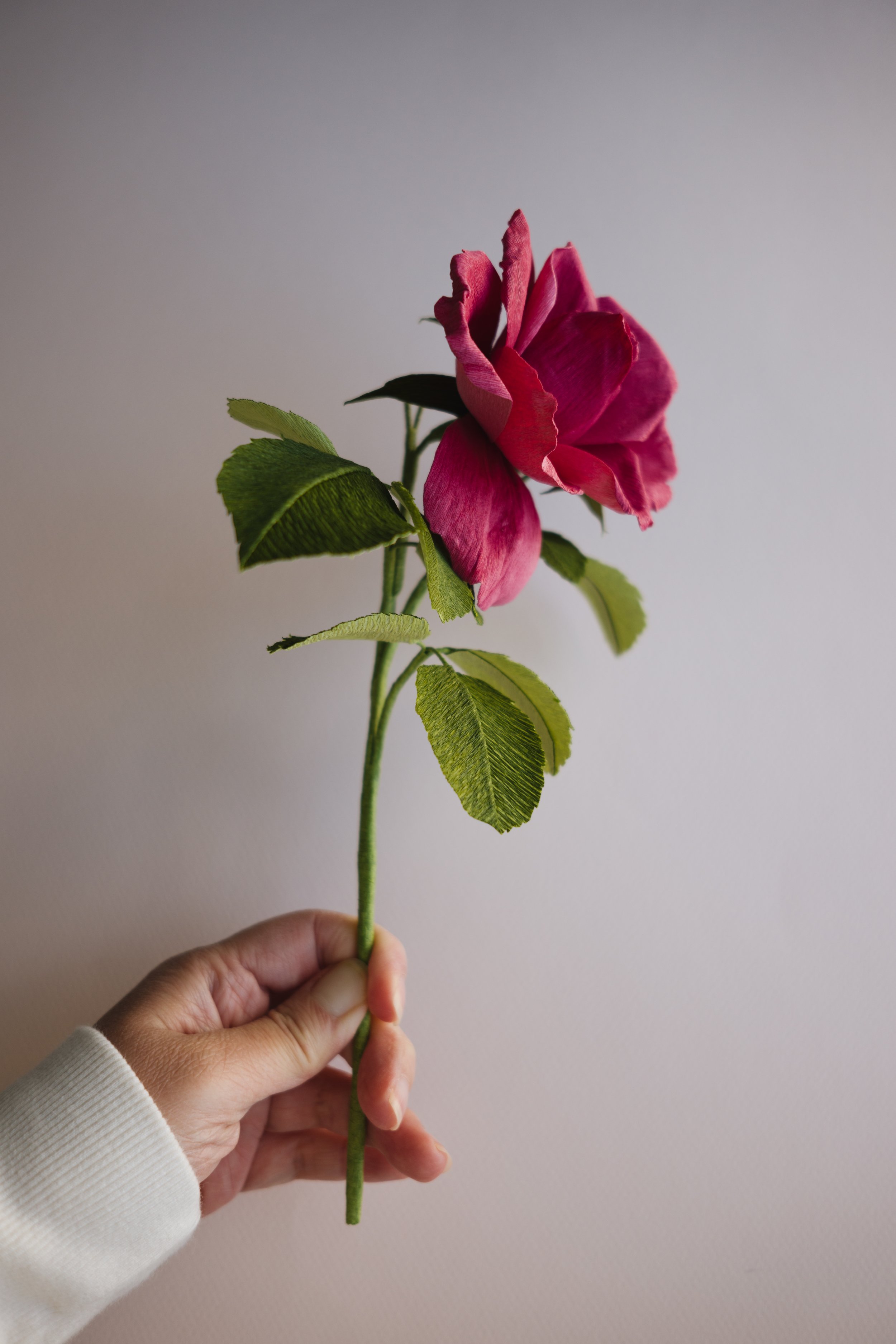 Vintage Rose-1020985.jpg