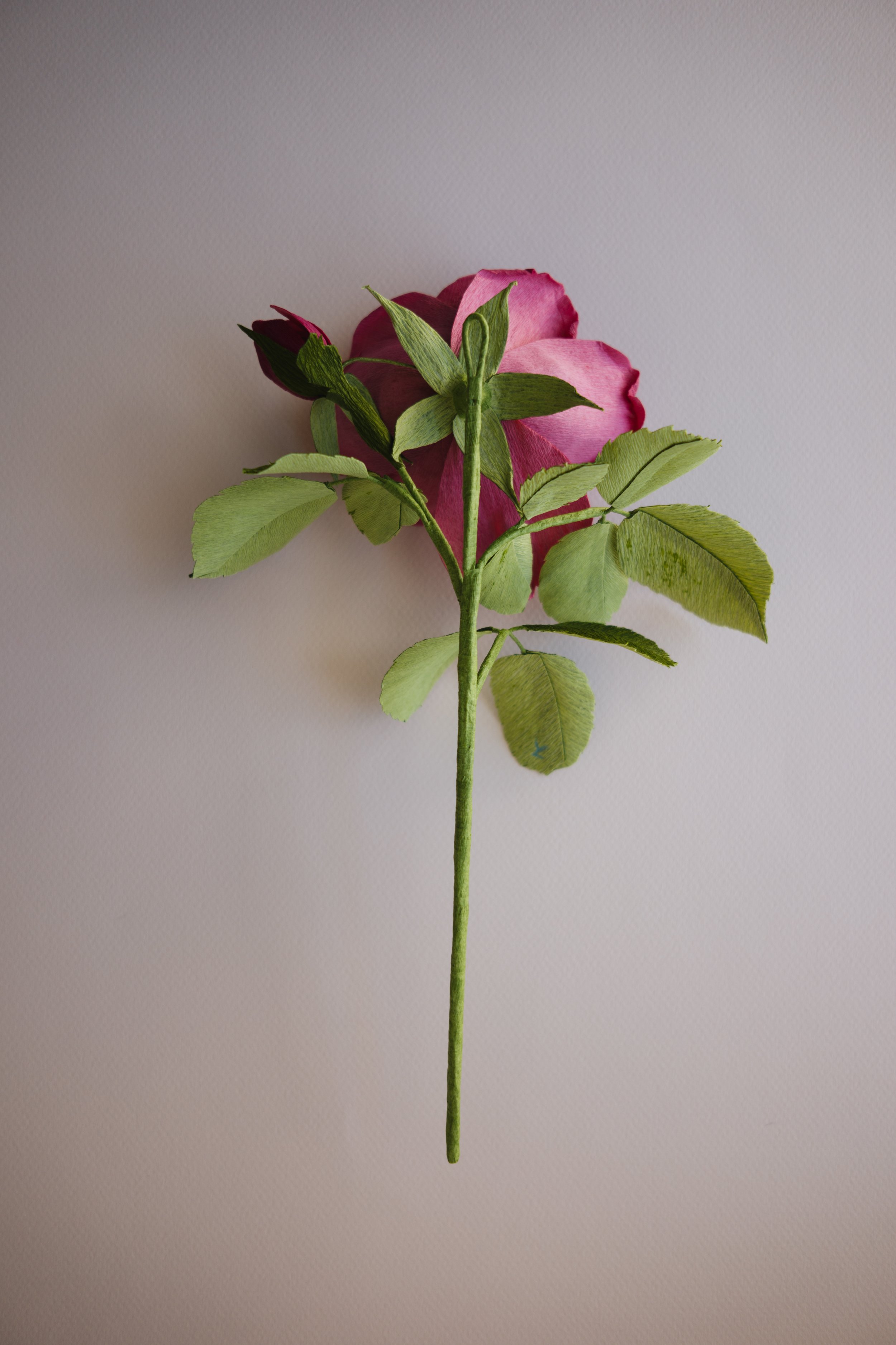 Vintage Rose-1020984.jpg
