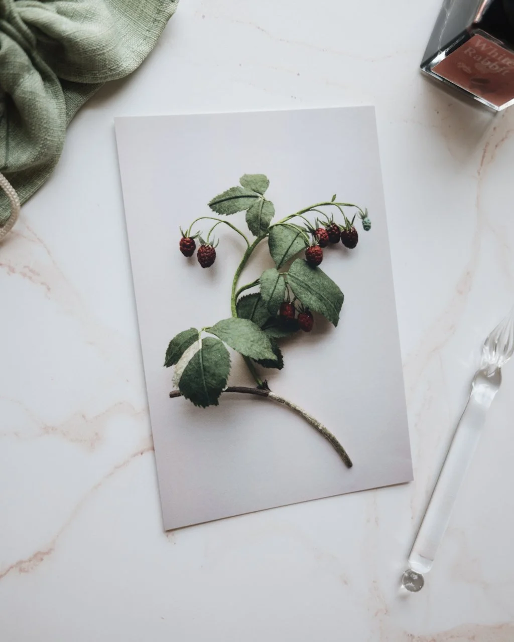 Postcard Raspberry Champagne Sideview - 20251003-L1030712.jpg