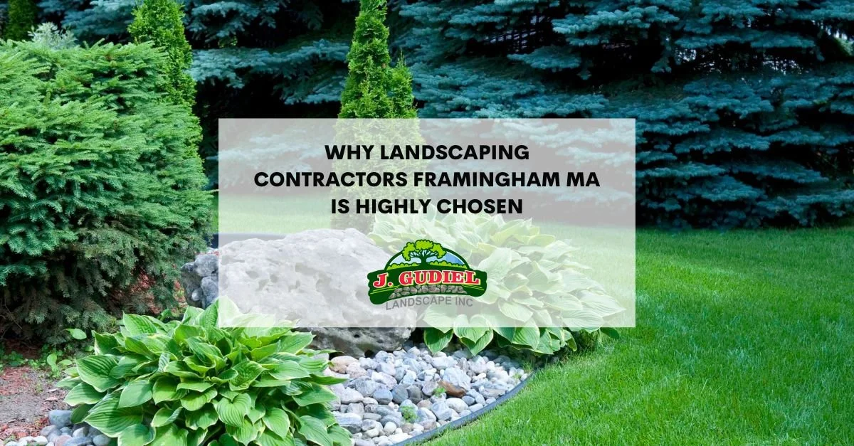 Lawn Management Holliston MA Landscaping Holliston MA
