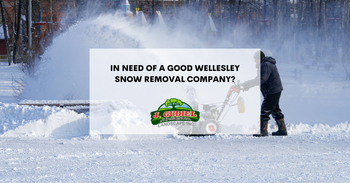 Lawn Management Holliston MA Landscaping Holliston MA