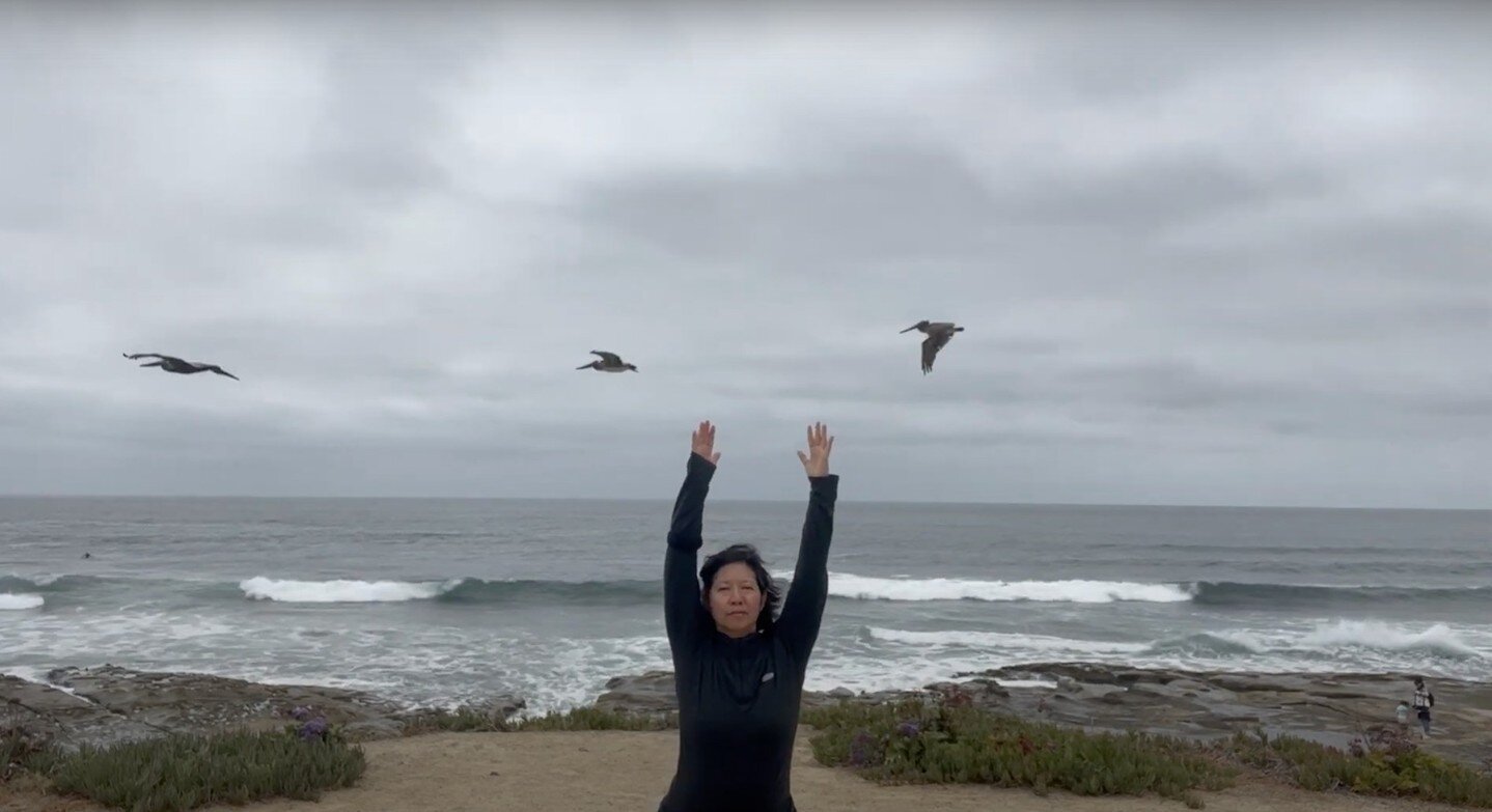 I'm sharing my best self-care practice in this Ocean Retreat! Join me on La Jolla beach in San Diego (virtually) for a career reset and solution to burn out! Did I mention there are sea lions too? Enjoy an hour of wellness techniques designed to opti