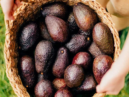 basket of avos image