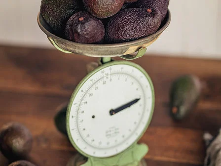 AVO SCALES IMAGE