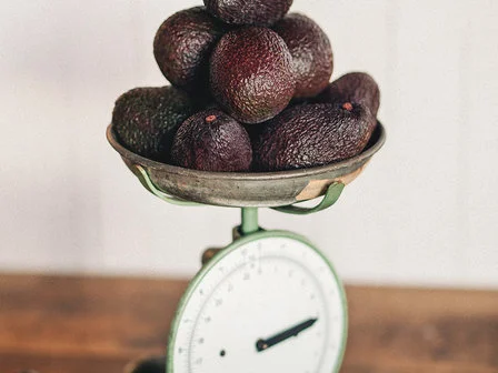 AVO SCALES 2 IMAGE