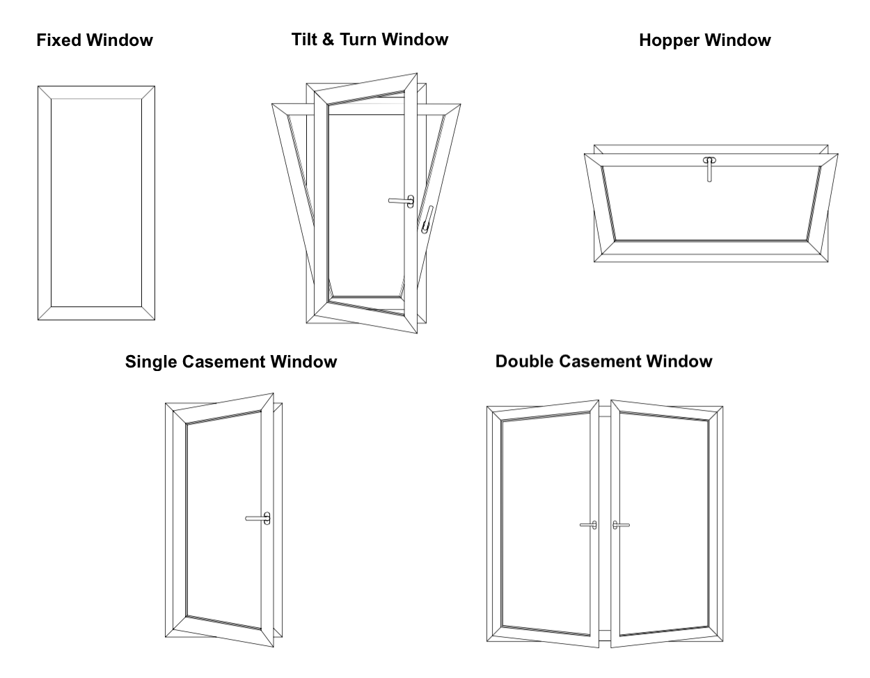 Window Options.png