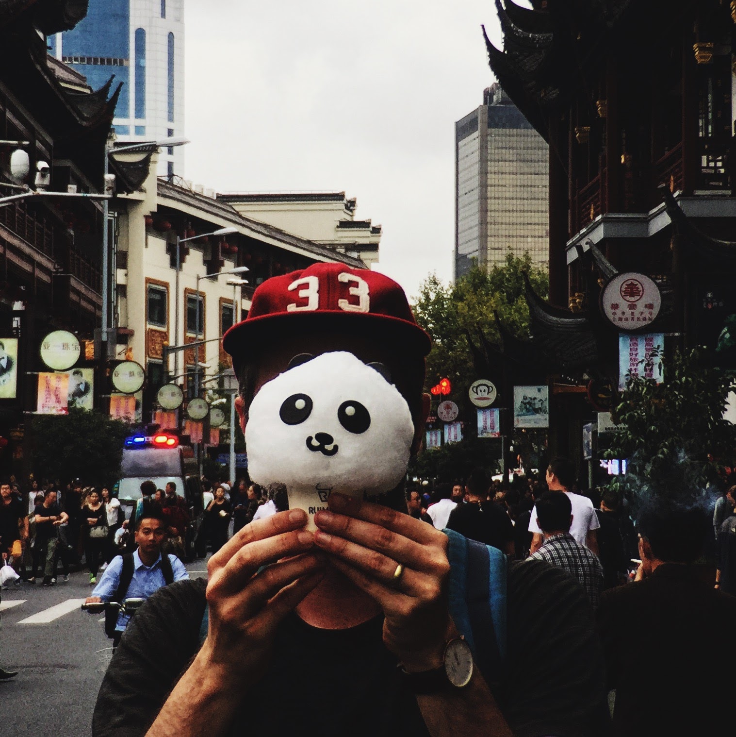 panda head