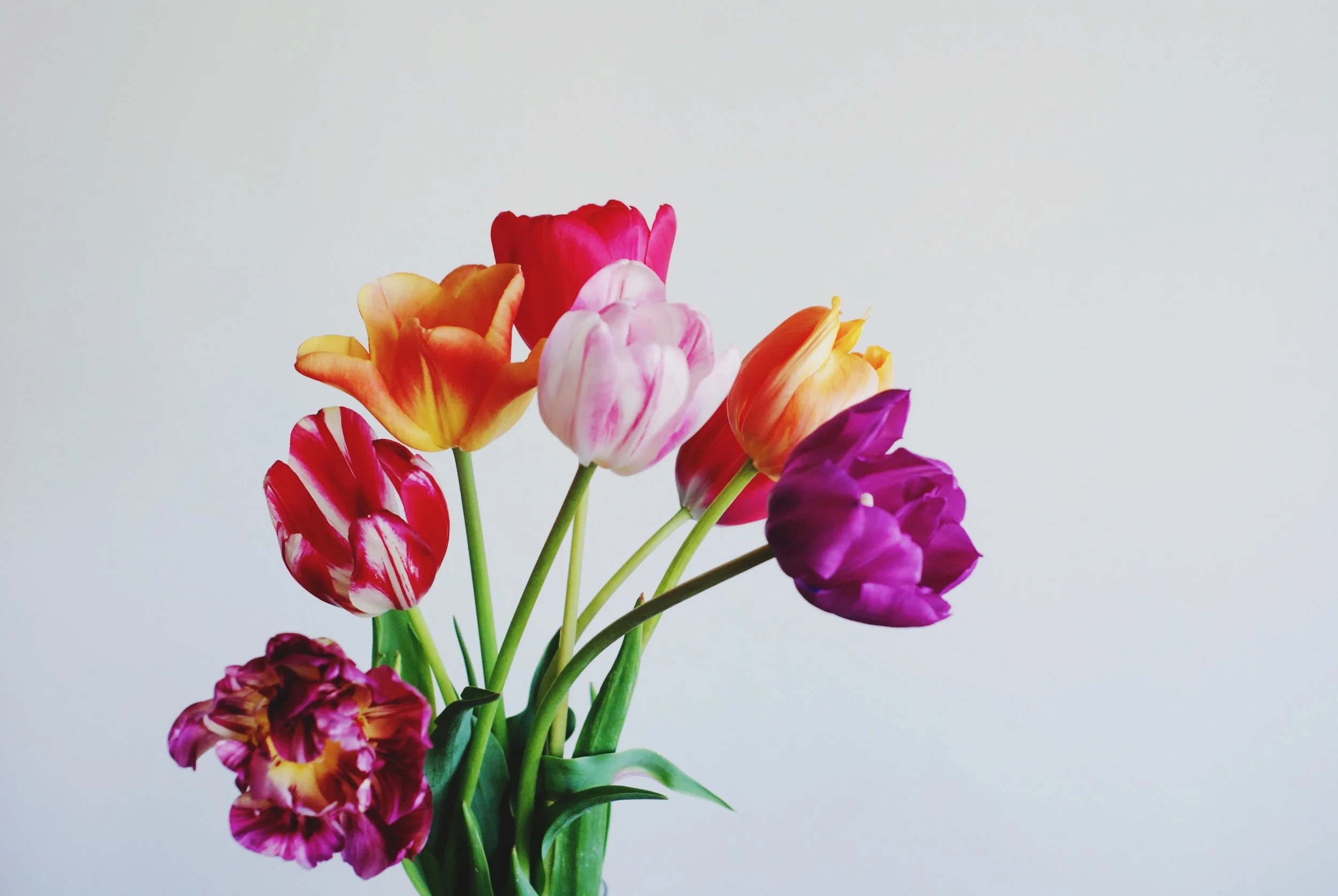 The Friday I'm in Love Series