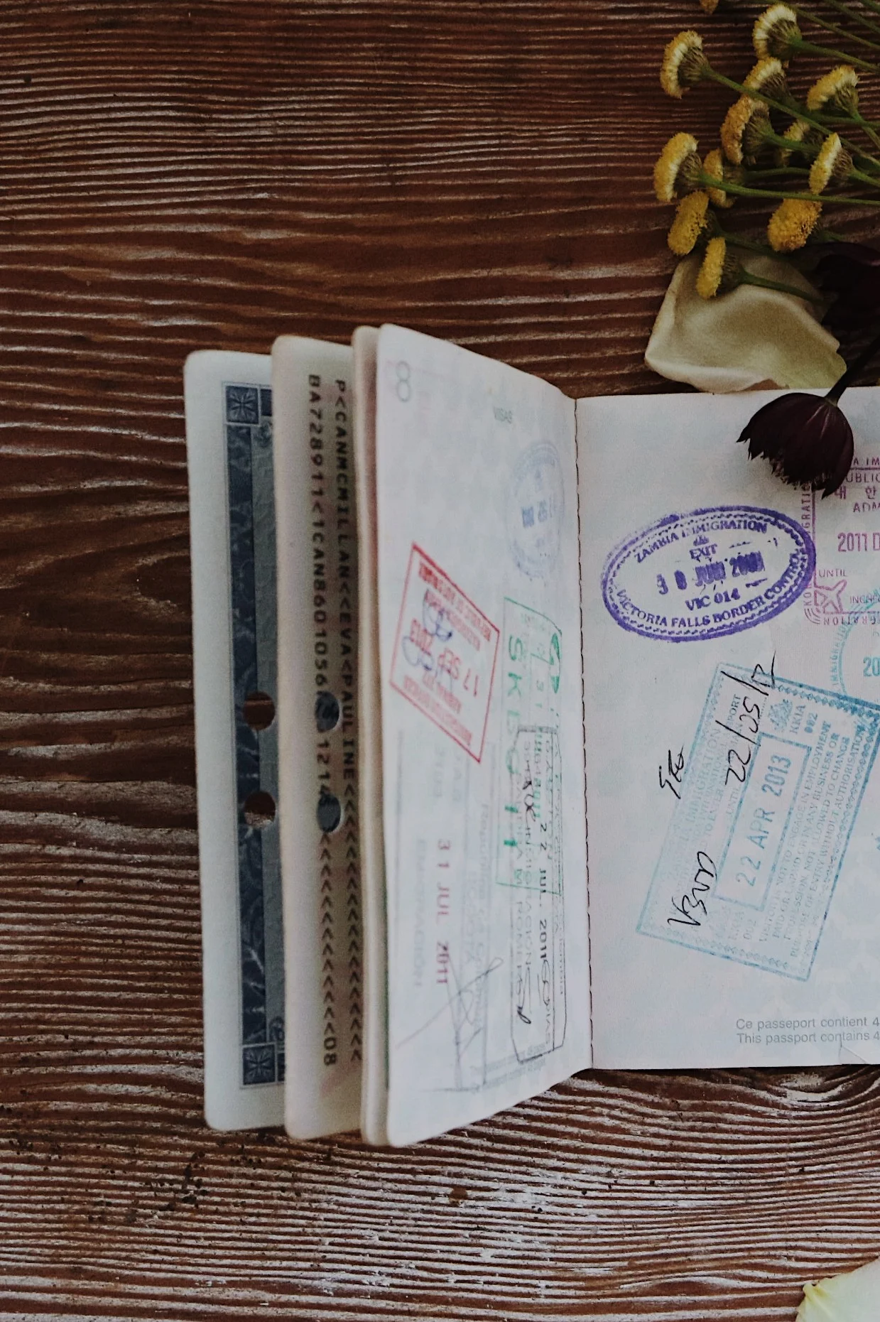 Where to Next? Picking My Next Destination.