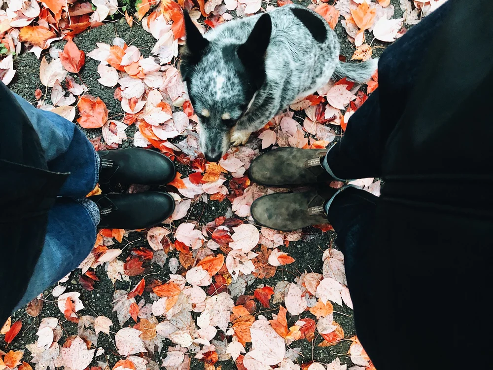 The McHowe family setting the agenda for the family meeting