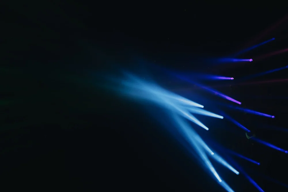 light and dark at teamlab borderless