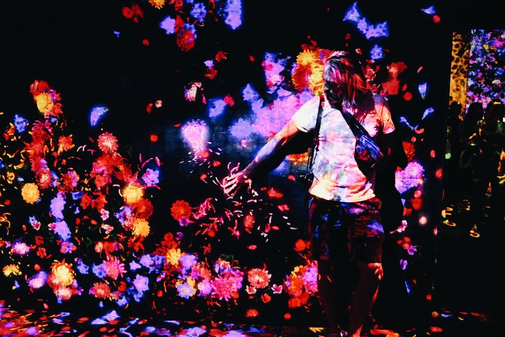 watching petals grow at teamlab borderless