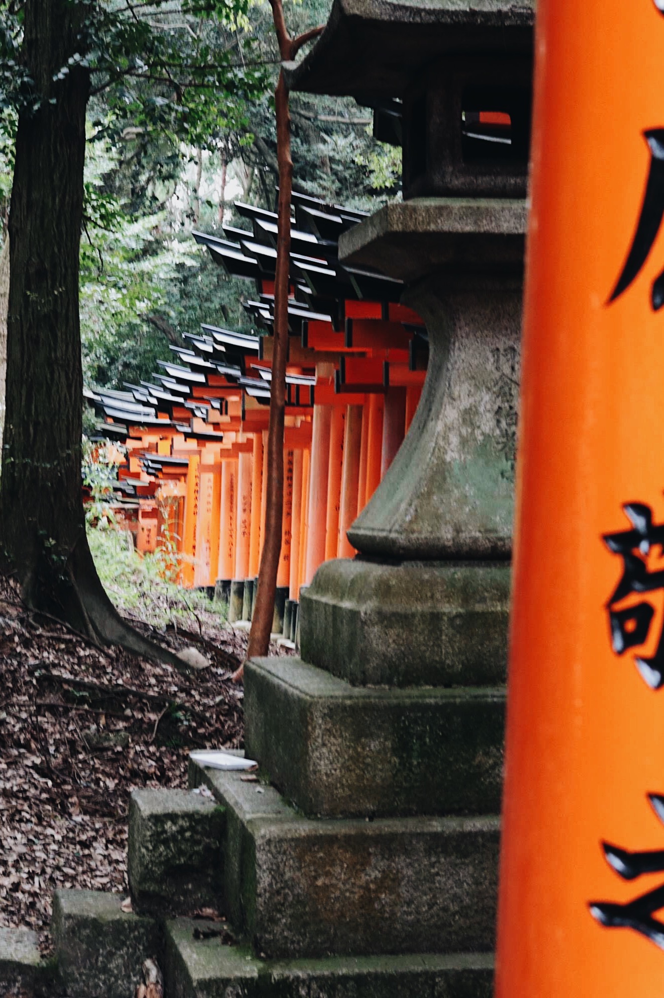 Our Route Through Japan - 18 days