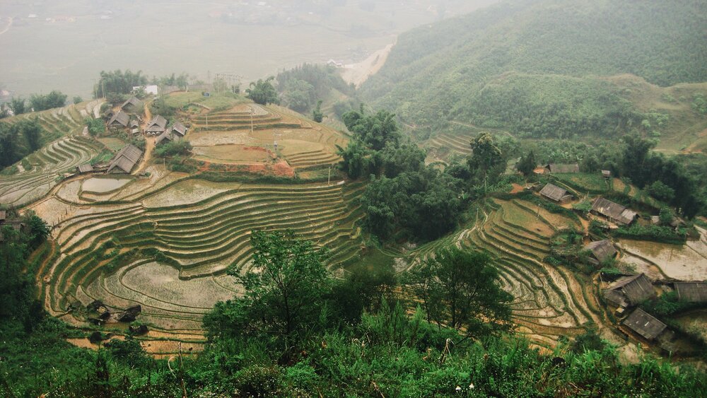 rice fields and fog in northern Vietnam