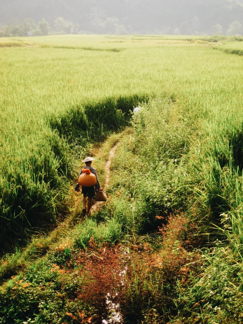 remote village rice fields Laos