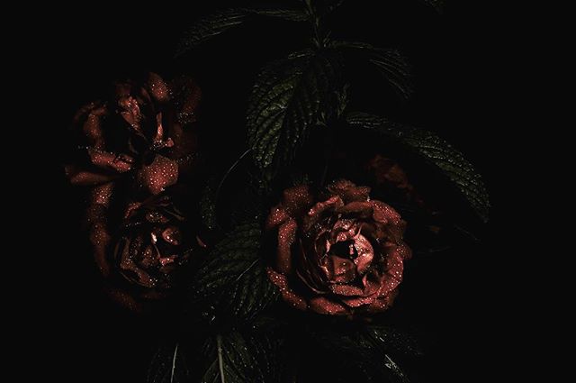 Give me taxidermy and dark florals.⠀
.⠀
.⠀
.⠀
.⠀
.⠀
.⠀
.⠀
.⠀
#seattle #stationery #love #summer #spring #flowers #floraldesign #florals #interiordesign #coffee #design #inspiration #motivation #nw #entrepenour #weddingseason #loveisintheair #engageme