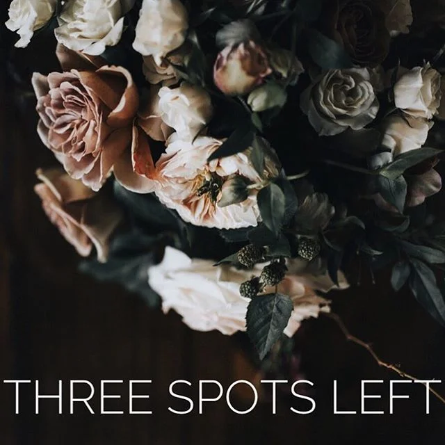 Babely Seattle 2017 is almost sold out! If you're on the fence, take the plunge and hop on over to our side... things are looking real good from over here. 😎 A day filled with the best food and drink, connecting with a tribe of bad ass ladies, kille