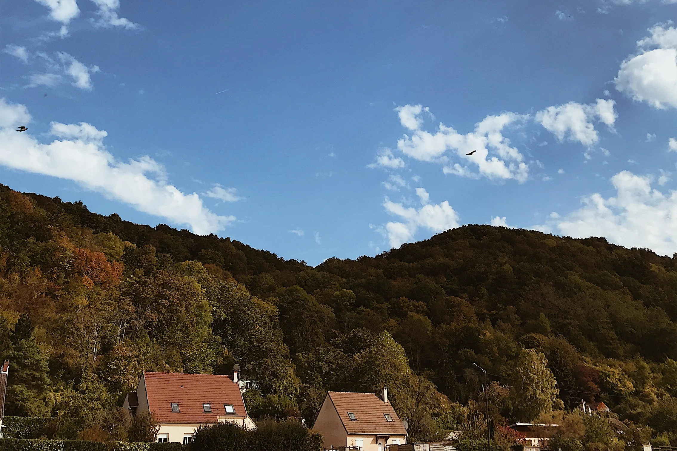 JPEG image-AA185A8A2354-7.jpeg