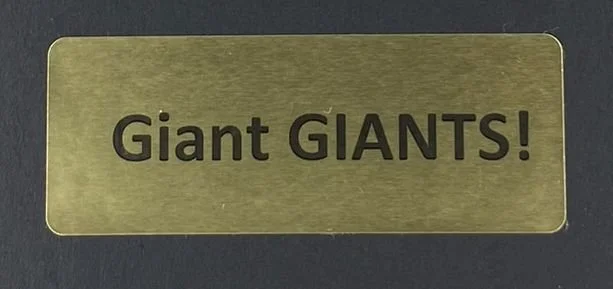 IMG_0806-giant giants-NYgiants-EliManning.jpg