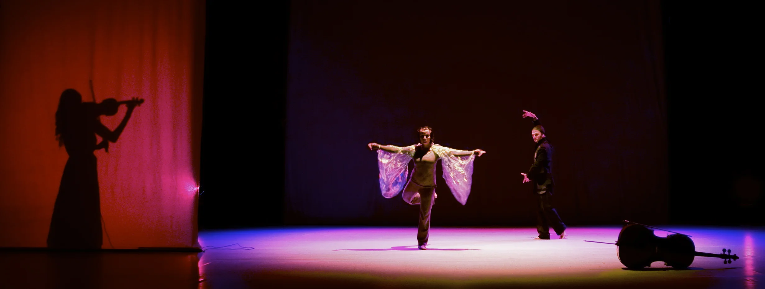 Pitkä matka perhoseksi / 2008 / Maria Baric Company