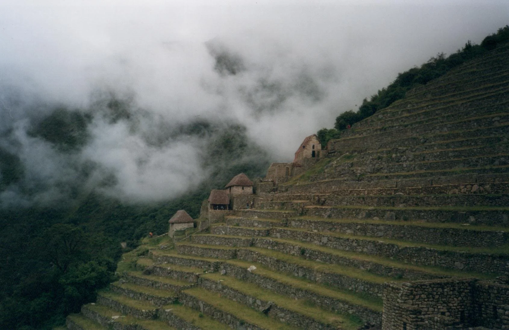 Mist on Hill.jpg