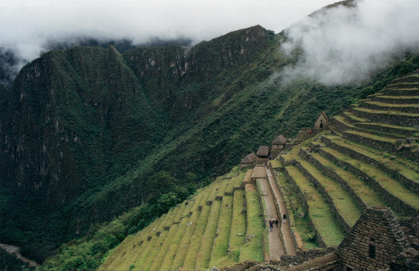 Terraces.jpg