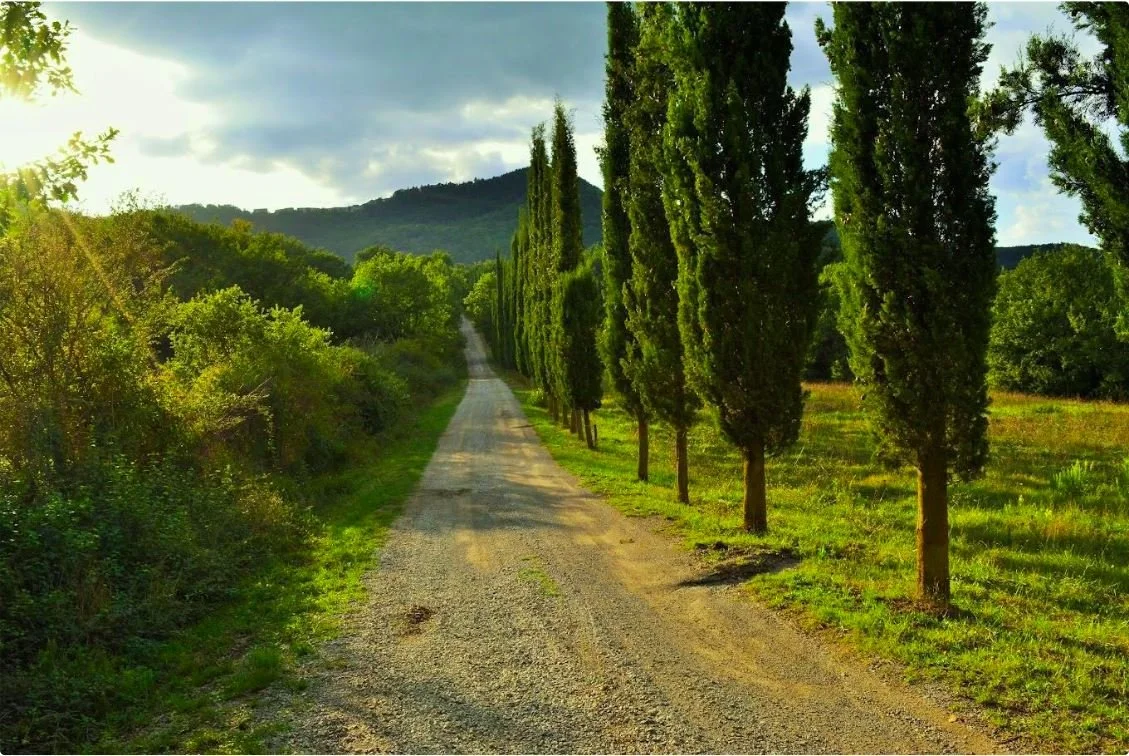 The Creative Dreamwork Retreat: Autumn in Tuscany