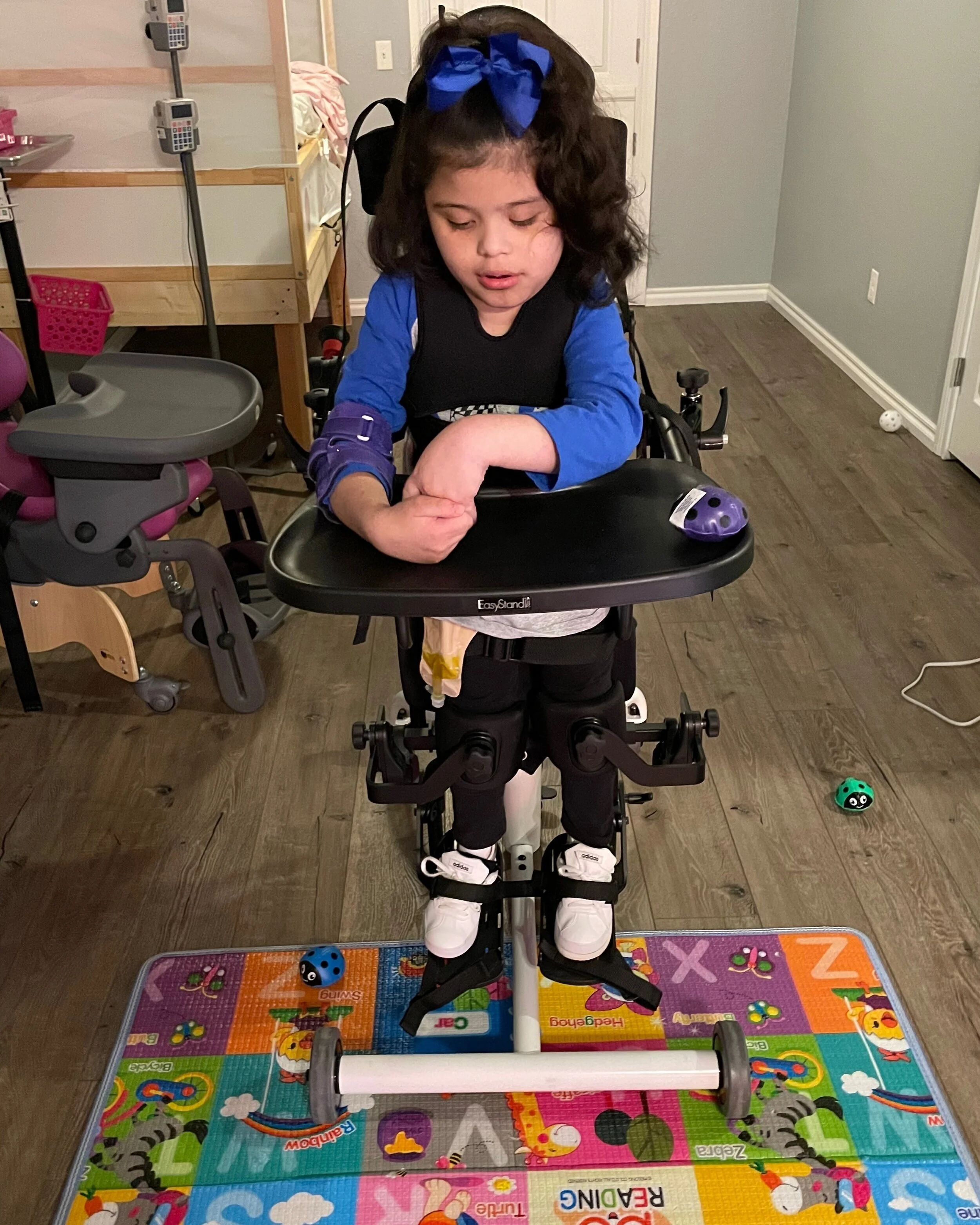 Aurora+in+stander.jpg