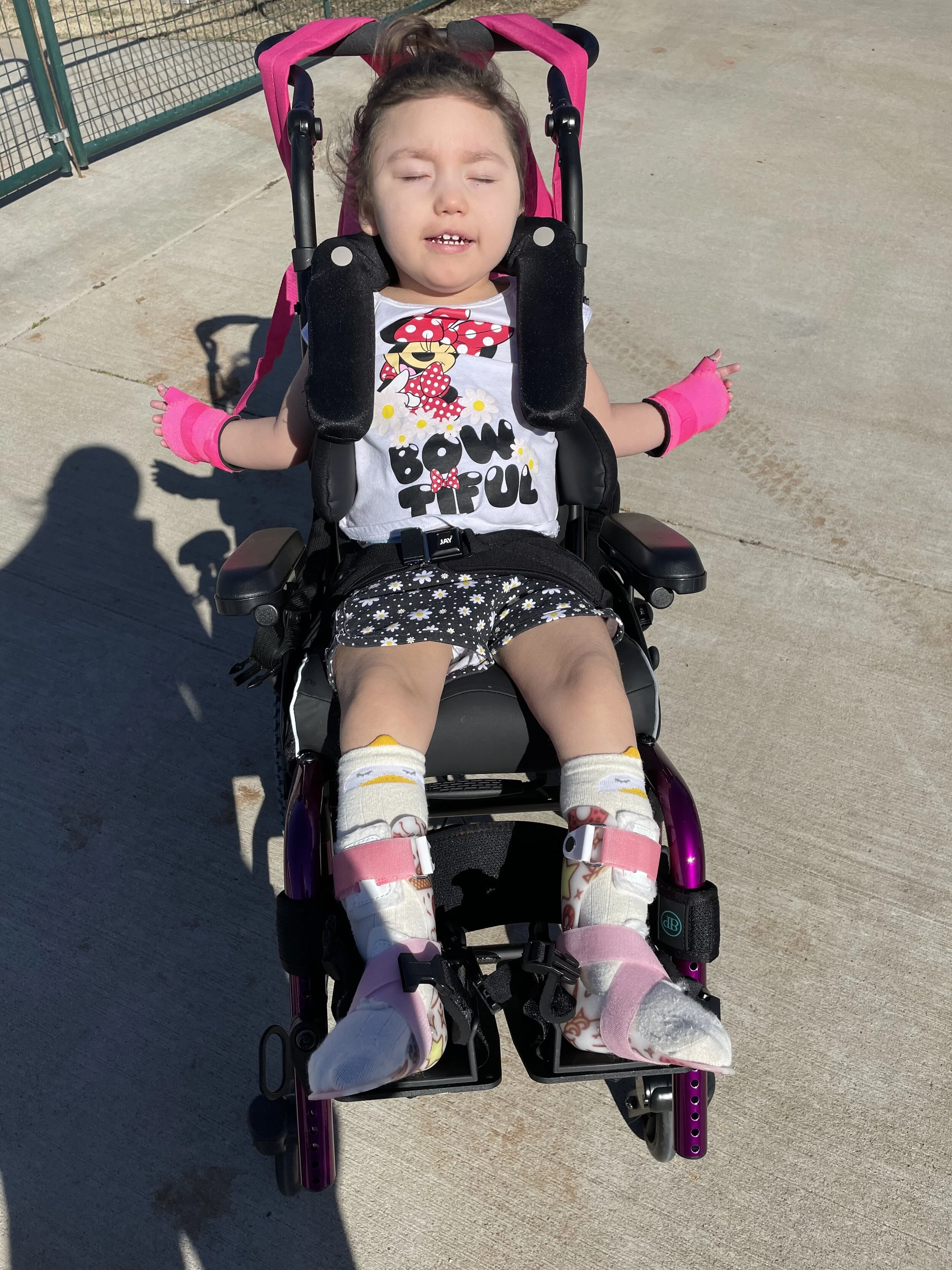 Willow in wheelchair.jpg