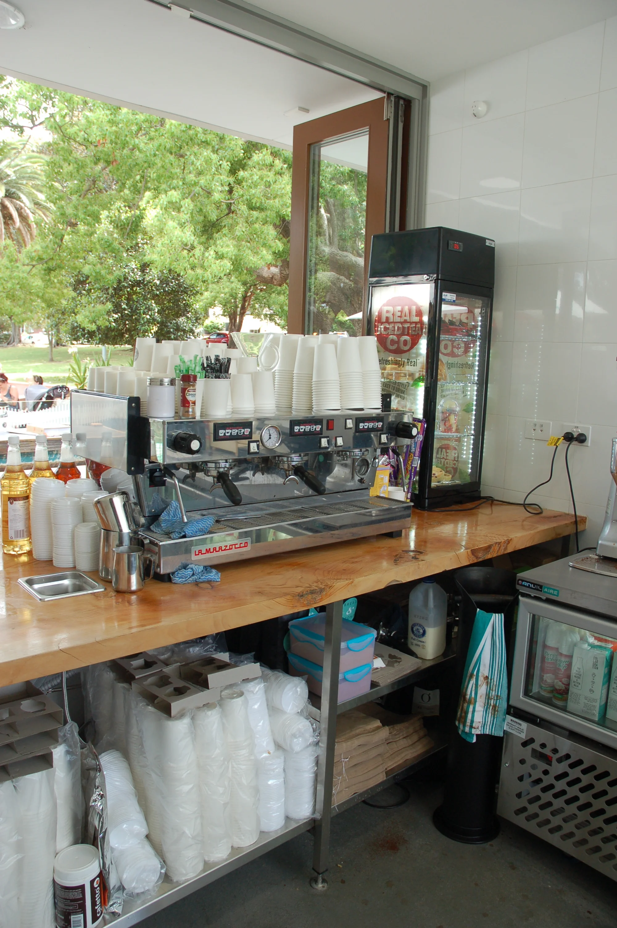 Ph 1518 Image 7.jpeg